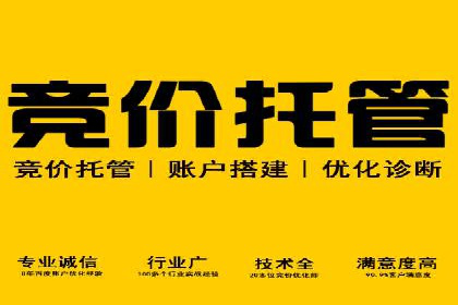 案例解读：SEM广告投放的技巧与策略